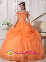 Chic Orange Stylish Quinceanera Dress With Off The Shoulder In Verona Wisconsin/WI(SKU QDZY575-CBIZ)