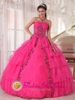 Tiffany & Co McMurray Pennsylvania/PA Paillette For Fashionable Hot Pink Quinceanera Dress With Sweetheart Organza[PDZY480 y-6BIZ]