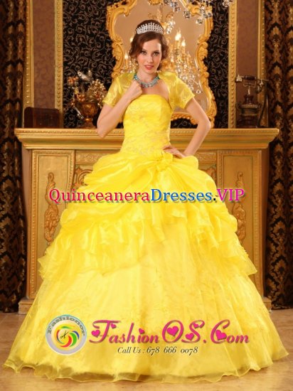 Palmyra Virginia/VA Strapless and Appliques For Yellow Quinceanera Dress With Floor-length Pick-ups Ball Gown - Click Image to Close