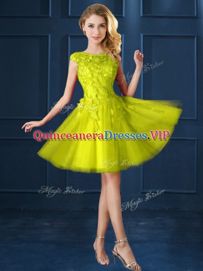 New Style Yellow Tulle Lace Up Vestidos de Damas Cap Sleeves Knee Length Lace and Appliques - Click Image to Close