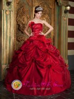 Envigado Colombia Gorgeous Wine Red Pick-ups and Hand Made Flowers Ruched Bodice For Quinceanera Dress