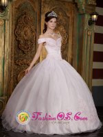 Organza Modest Light Pink Quinceanera Dress With Off The Shoulder Neckline Appliques Decorate