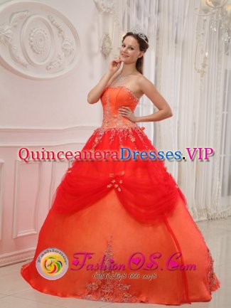 Appliques A-line Affordable Orange Red For Sweet Quinceanera Dress Taffeta and Tulle In Richards Bay South Africa