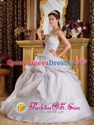 Sanford FL Beading Inexpensive Style Quinceanera Dress For Grey Organza Sweetheart Ball Gown
