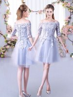 Grey A-line Tulle Off The Shoulder Half Sleeves Lace Mini Length Lace Up Damas Dress(SKU BMT0437DBIZ)