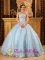 Gambier Ohio/OH Wheeling Romantic Baby Blue Quinceanera Dress Strapless Organza Exquisite Beading Appliques Ball Gown