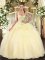 Gold Organza Lace Up Straps Sleeveless Floor Length 15 Quinceanera Dress Beading