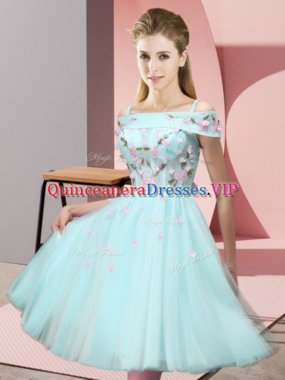 Tulle Off The Shoulder Short Sleeves Lace Up Appliques Dama Dress in Apple Green - Click Image to Close