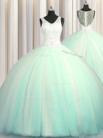 Big Puffy Zipper Up Apple Green Sleeveless Brush Train Beading and Appliques With Train Ball Gown Prom Dress(SKU PSSW0602-5BIZ)
