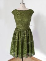 Knee Length Olive Green Dama Dress Lace 3 4 Length Sleeve Lace