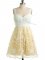 Champagne Lace Up Straps Lace Quinceanera Court of Honor Dress Lace Sleeveless