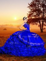 Customized Sweetheart Sleeveless Organza Military Ball Gowns Embroidery and Ruffles Brush Train Lace Up(SKU XBQD030-8BIZ)