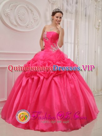 Somerset Wisconsin/WI Ruched and Beading For Popular Hot Pink Quinceanera Dress With Taffeta and organza