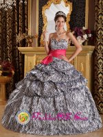 Clifton TX A-line Zebra Sash Sweetheart Ball Gown Quinceanera Dreaaea With Pick-ups Floor-length(SKU QDZY211y-6BIZ)