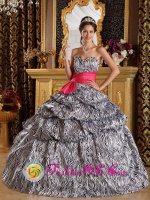 Clifton TX A-line Zebra Sash Sweetheart Ball Gown Quinceanera Dreaaea With Pick-ups Floor-length
