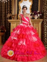 Colorful Hand Made Flowers Decorate One Shoulder and Ruffles Layered For Ball Gown Quinceanera Dress IN Sonson colombia