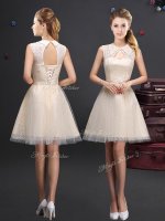 Sleeveless Tulle Mini Length Lace Up Dama Dress for Quinceanera in Champagne with Lace and Appliques and Belt