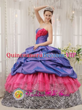 Colorful Exclusive Quinceanera Dress With purple Taffeta and pink Organza and Zebra Pick-ups in North Providence Rhode Island/RI