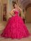 Romantic Embroidery Hot Pink Quinceanera Dress For Winter Halter Organza Ball Gown In Chariton Iowa/IA