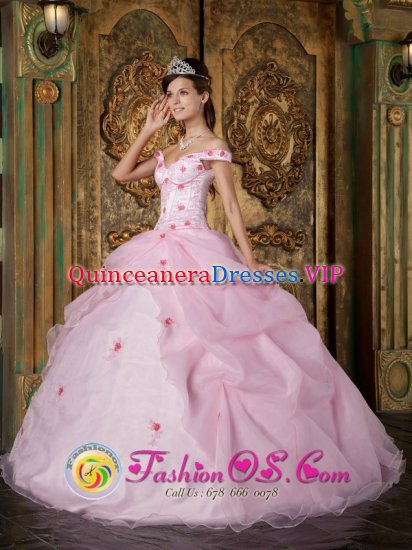 Pickering OntarioON Romantic Pink Off The Shoulder Organza Quinceanera Dress With Colorful Flowers - Click Image to Close