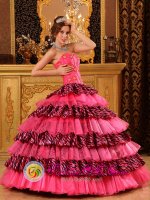 Nogales Arizona/AZ Organza and Zebra Layers Hot Pink Quinceanera Dress With Sweetheart and Beading Decorate Ball Gown