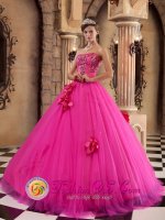 Luxurious Strapless Hot Pink Quinceanera Dress With Flowers And Appliques Decorate On Tulle In Durbanville South Africa(SKU QDZY181y-4BIZ)