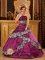 Beaver Creek Colorado/CO Stylish Embroidery Zebra Dark Purple Quinceanera Dress With Taffeta Ball Gown