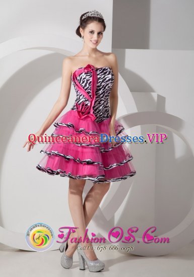 Stylish Hot Pink A-line Strapless Mini-length Organza Zebra Quinceanera Dama Dress in San Martin Argentina - Click Image to Close