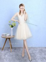 Tulle V-neck Half Sleeves Lace Up Lace Quinceanera Court of Honor Dress in Champagne(SKU BMT0334DBIZ)