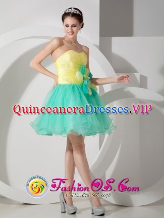 Kailua Hawaii/HI Apple Green and Yellow A-line Sweetheart Mini-length Organza Quinceanera Dama Dress with Hand Made Flowers