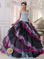 Tiffany & Co Benton Kentucky/KY Appliques With Beading Beautiful Multi-color Quinceanera Dress For Fall Strapless Organza Ball Gown[PDZY553BIZ]