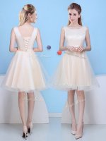 Fashionable Scoop Knee Length Champagne Damas Dress Tulle Sleeveless Bowknot
