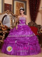 Fashionable Fuchsia Quinceanera Dress For Fountain Hills AZ　 Strapless Organza With Appliques And Ruffles Ball Gown(SKU QDZY559y-5BIZ)