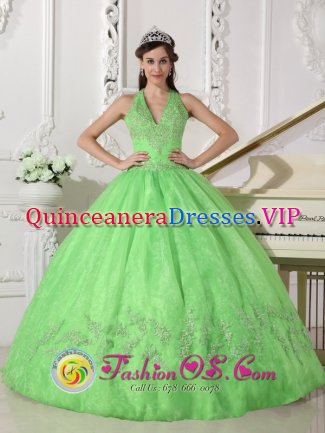 Tuxford East Midlands Elegant A-line Spring Green Halter Top Appliques Decorate Quinceanera Dress With Taffeta and Organza