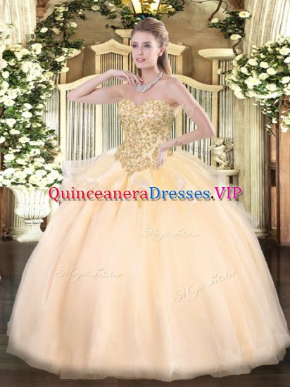 Champagne Lace Up Sweetheart Appliques Sweet 16 Dress Organza Sleeveless - Click Image to Close