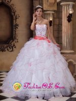 Brand New White Quinceanera Dress For White Plains New York/NY Strapless Organza Embroidery And Sash Decorate Up Bodice Ruffles Ball Gown