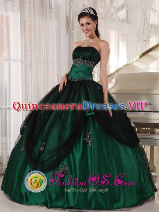 Bar HarborMaine/ME Stylish Green Quinceanera Dress With Strapless Tulle and Taffeta Beaded hand flower Decorate ball gown