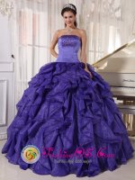 Versailles Kentucky/KY Beaded Bodice Low Price Purple Satin and Organza Quinceanera Dress