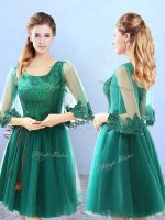A-line Court Dresses for Sweet 16 Green Scoop Tulle 3 4 Length Sleeve Knee Length Lace Up(SKU BMT0335BBIZ)