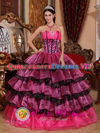 Port Aransas Texas/TX Brand New Multi-color Quinceanera Dress For Sweetheart Organza Ruffles Gorgeous Ball Gown