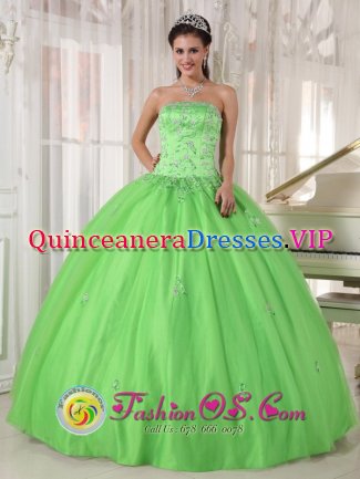 Parsippany New Jersey/ NJ Spring Green Appliques Decorate Quinceanera Dress With Strapless Taffeta and Tulle Ball Gown