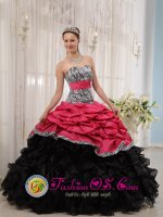 Hill City South Dakota/SD Gorgeous Zebra and Taffeta and Organza Beading and Pick-ups Colorful Ball Gown For Quinceanera Dress(SKU QDZY434-2J2BIZ)