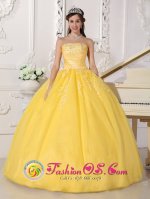 Remarkable Customize Light Yellow Lace and Ruch Potchefstroom South Africa Quinceanera Gown With Strapless For Sweet 16(SKU QDZY594y-2BIZ)