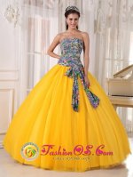 Lakewood Ohio/OH Pretty Golden Yellow and Printing Quinceanera Dress For Strapless Bowknot Decorate Tulle Ball Gown