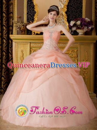 Woonsocket South Dakota/SD Beaded Decorate With Baby Pink Romantic Strapless Quinceanera Dress