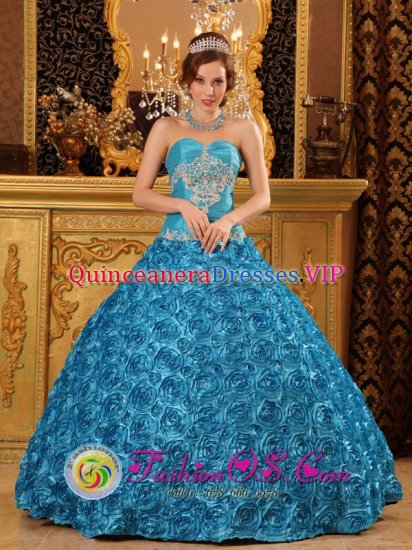 Columbia Kentucky/KY Classical Sky Blue Quinceanera Dress For Appliques Sweetheart Fabric With Rolling Flowers Ball Gown - Click Image to Close