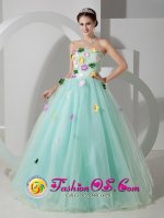 Tiffany & Co Frankfort Kentucky/KY Apple Green Sweet For Quinceanera Dress Organza Hand Made Flowers[MLXNHY03 y-3BIZ]