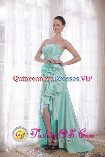 Rivadavia Argentina Apple Green A-line / Princess Strapless High-low Taffeta Hand Made Flower ruching Quinceanera Dama Dress - Click Image to Close