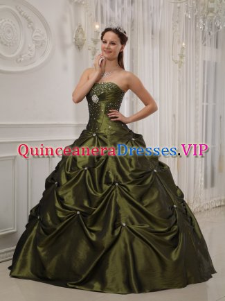 Exquisite Olive Green Quinceanera Dress With Deaded Decorate taffeta For Sweet 16 Quinceaners In Shenandoah Iowa/IA