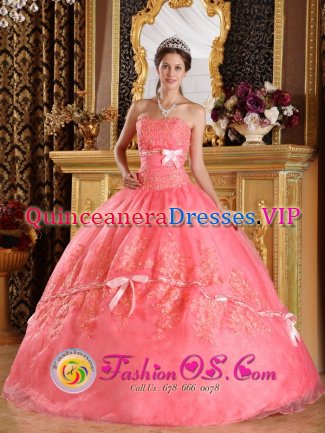 Appliques and Bowknots For The Super Hot Watermelon Strapless Quinceanera Dress In Queanbeyan NSW